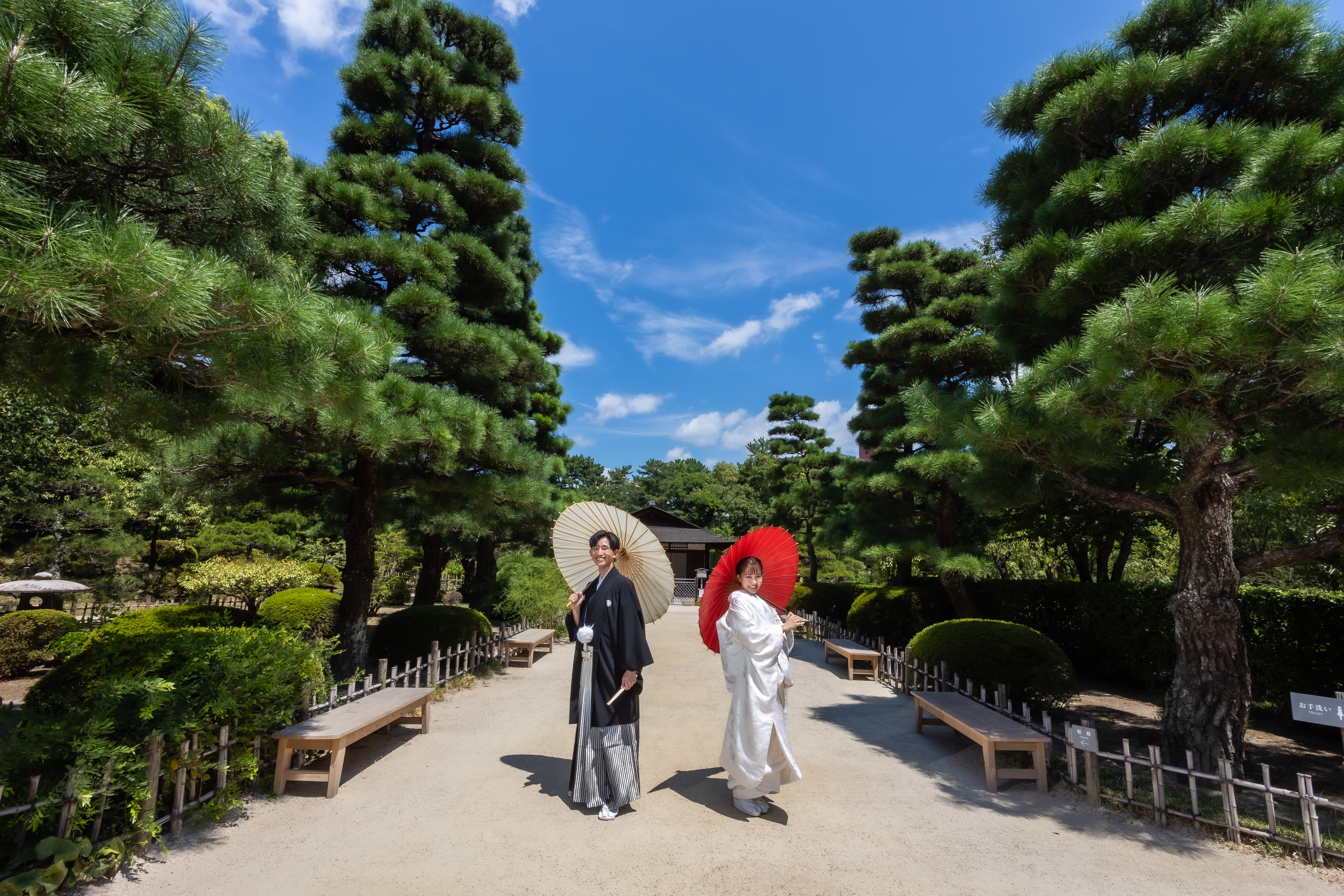 狭い画像